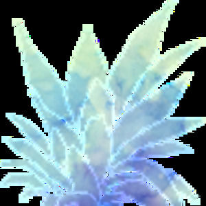 Meet your Posher, Madelyn